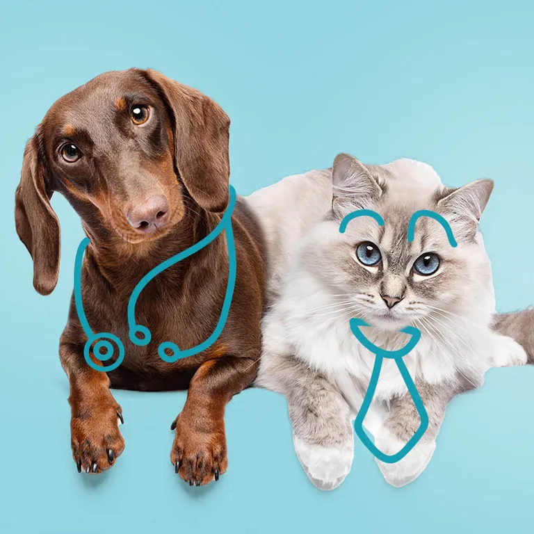 Ter Vroumbout Social Dokter