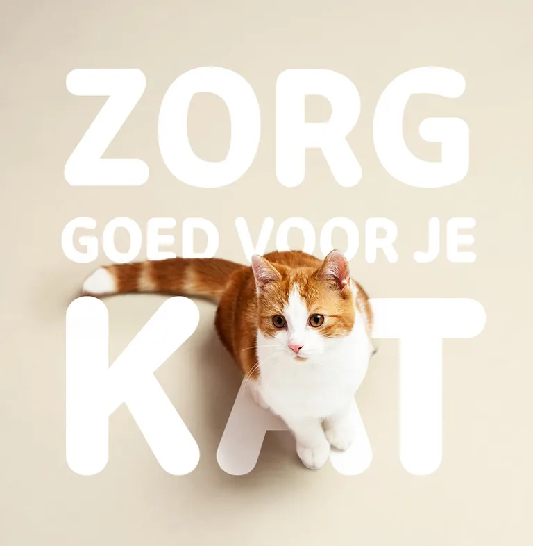 Ter Vroumbout Social Kat