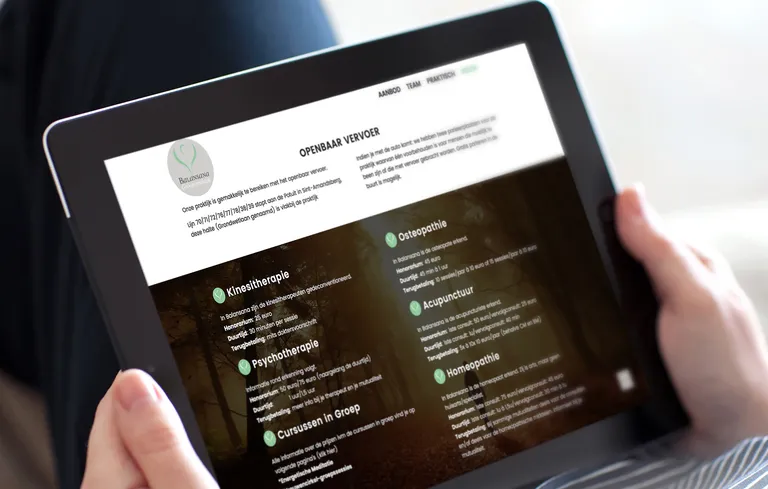Balansan Website Ipad