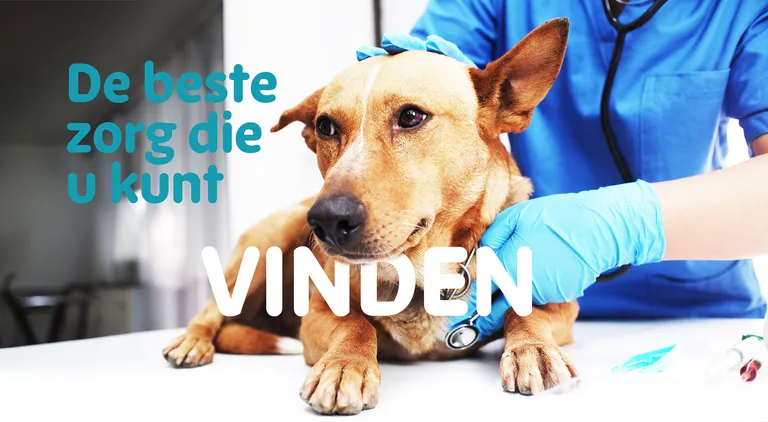 Ter Vroumbout Beste Zorg